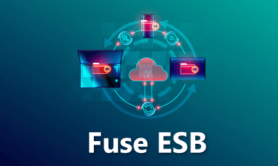 Fuse ESB Training