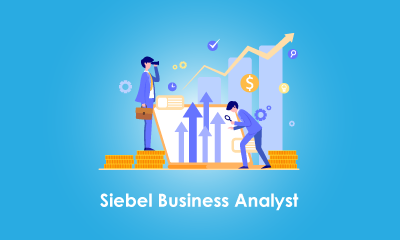 SIEBEL Business Analyst Training